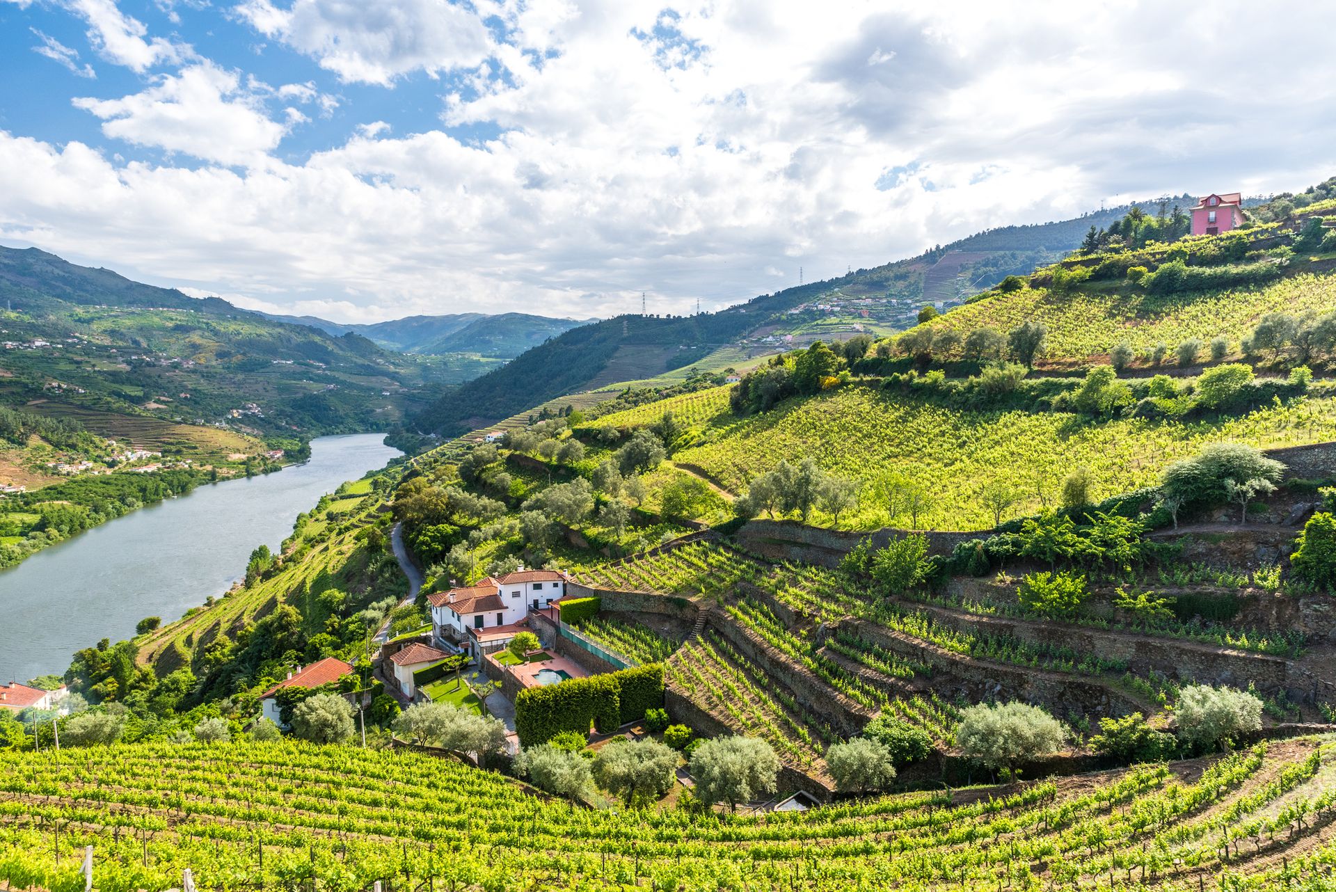Vallée du Douro - Portugal