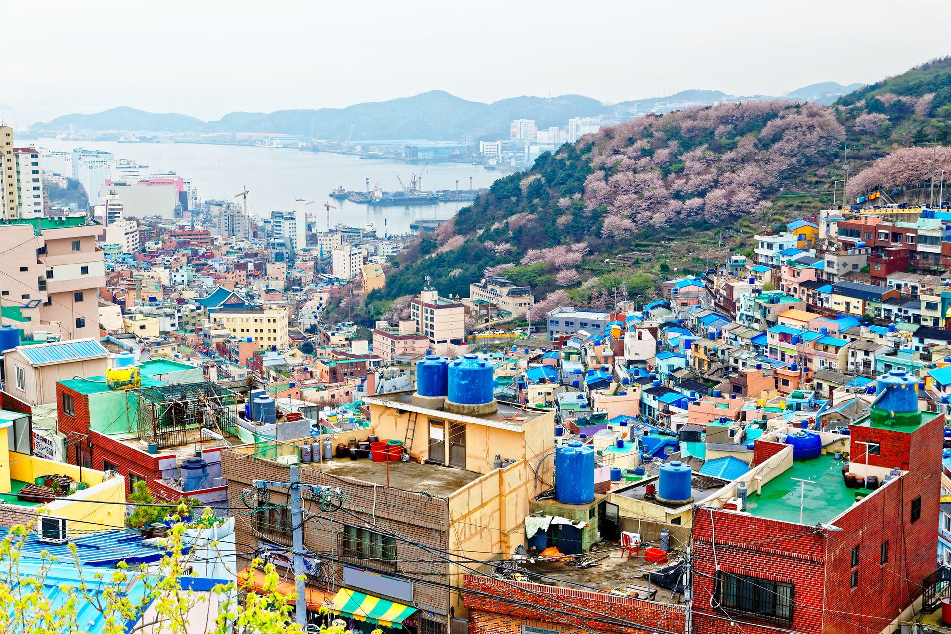 Busan - Corée du Sud ©iStock