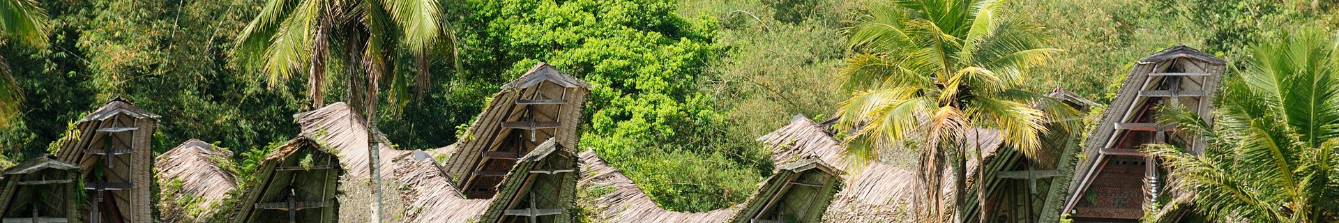 Pays Toraja - Célèbes - Indonésie