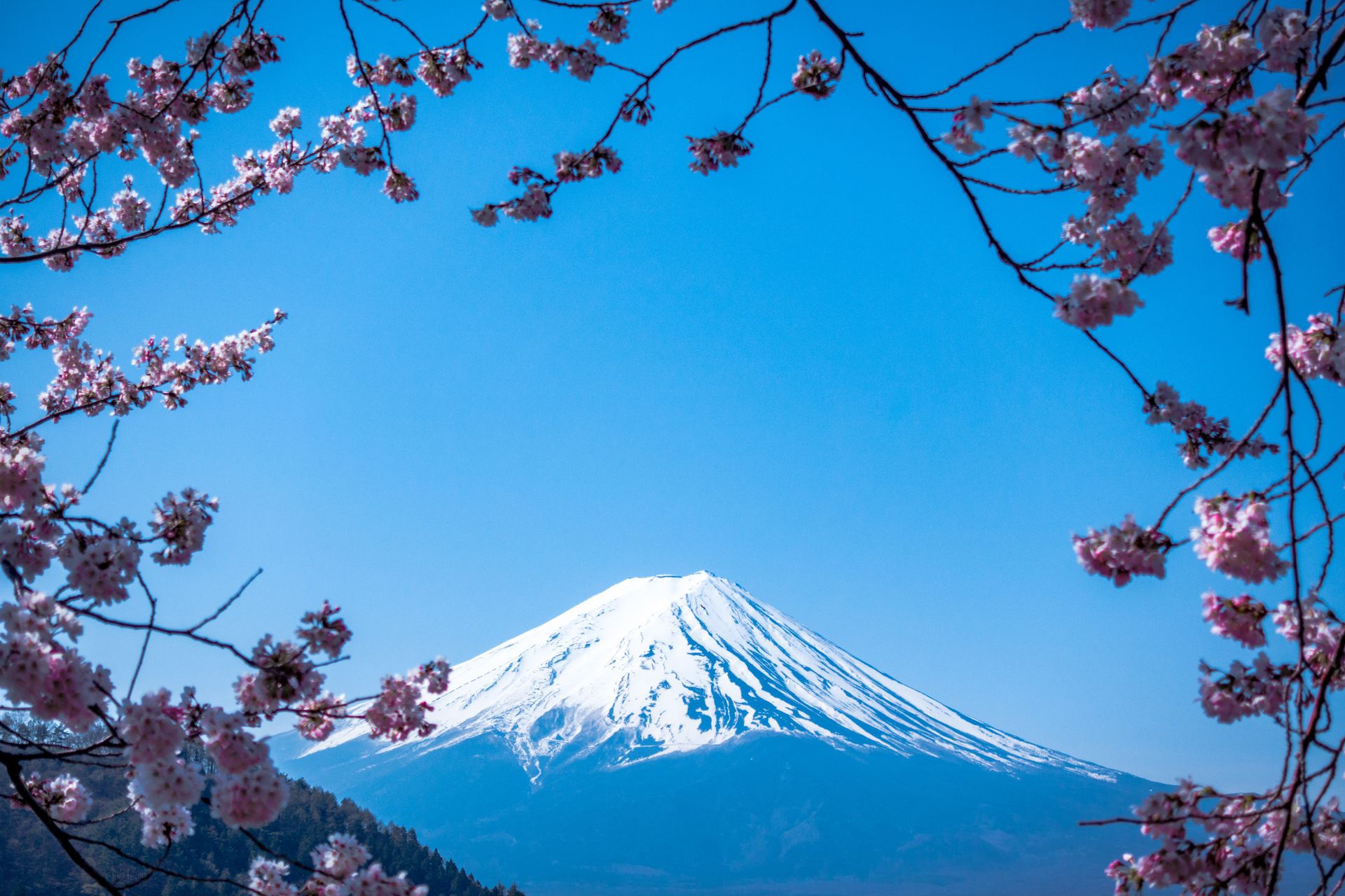 Mont Fuji - Japon
