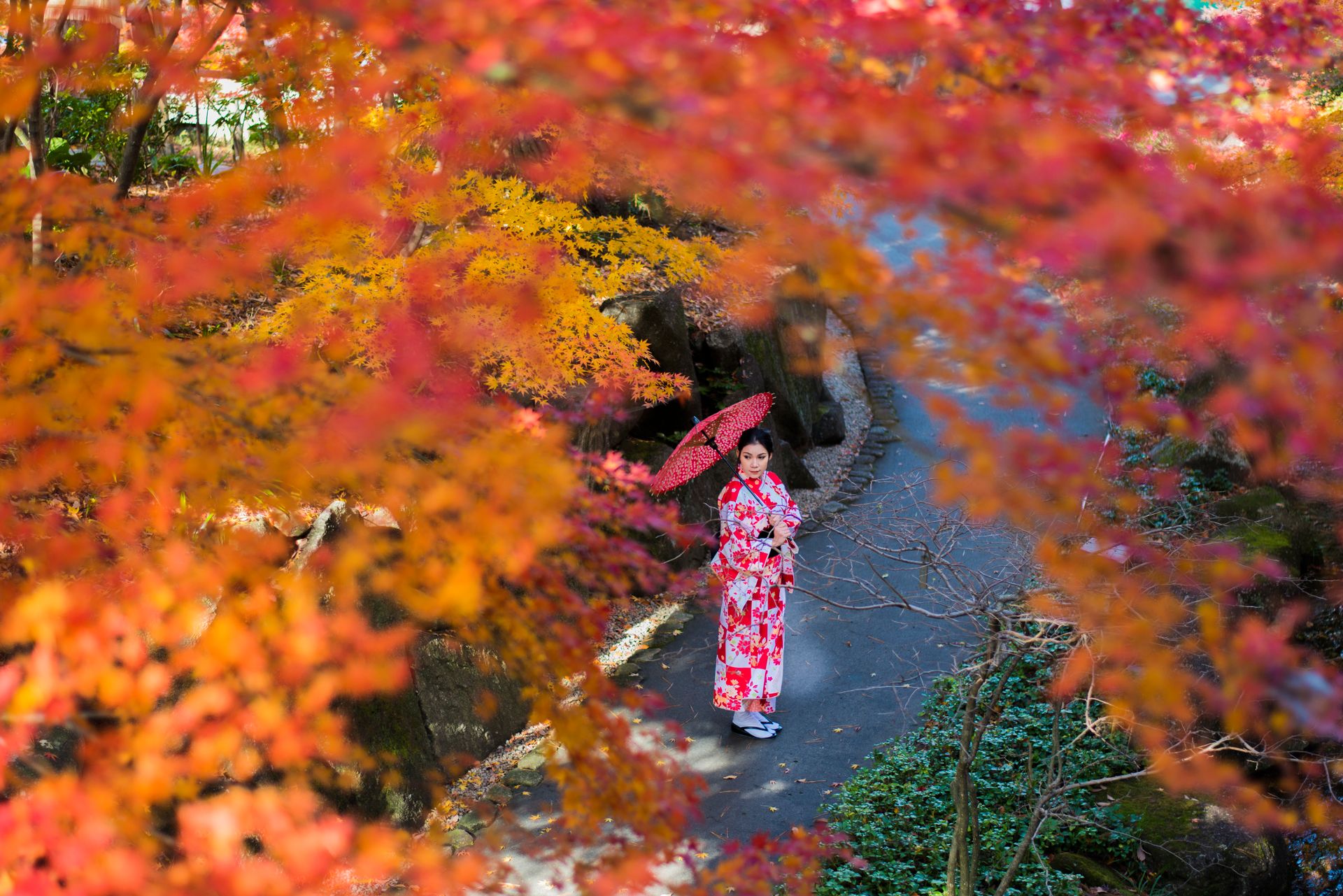 Japonaise sous les couleurs de l'automne