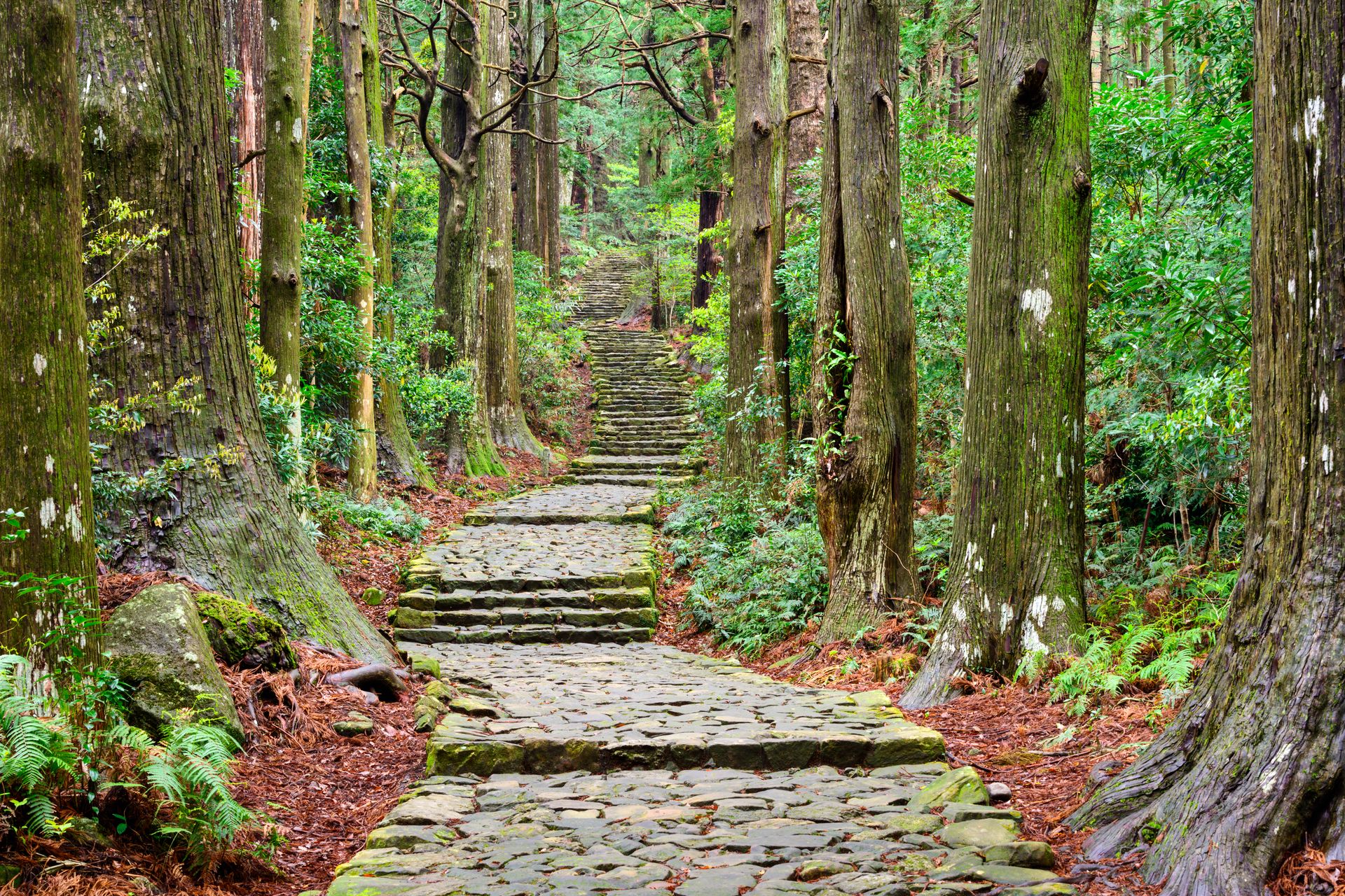 Sentier du Kumano Kodo