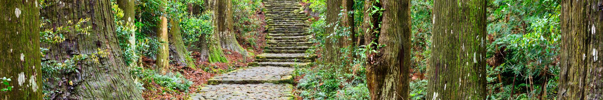 Sentier du Kumano Kodo