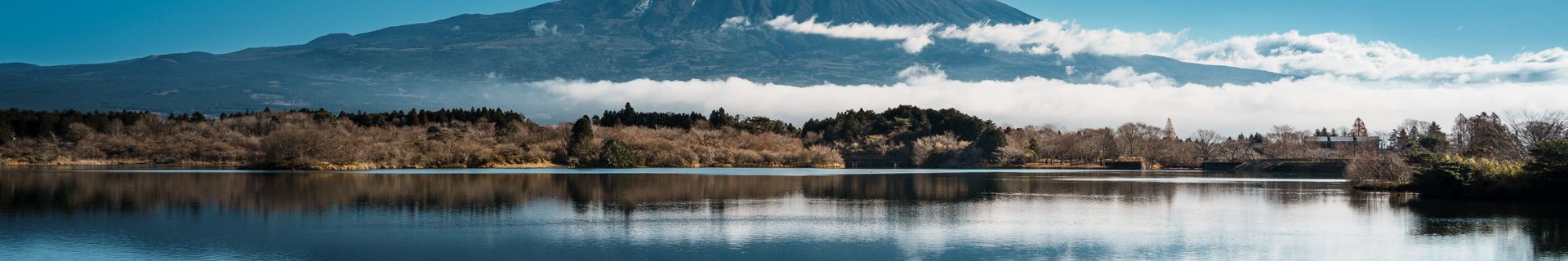 Lac Tanuki