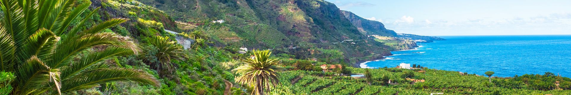 Côte nord de Tenerife