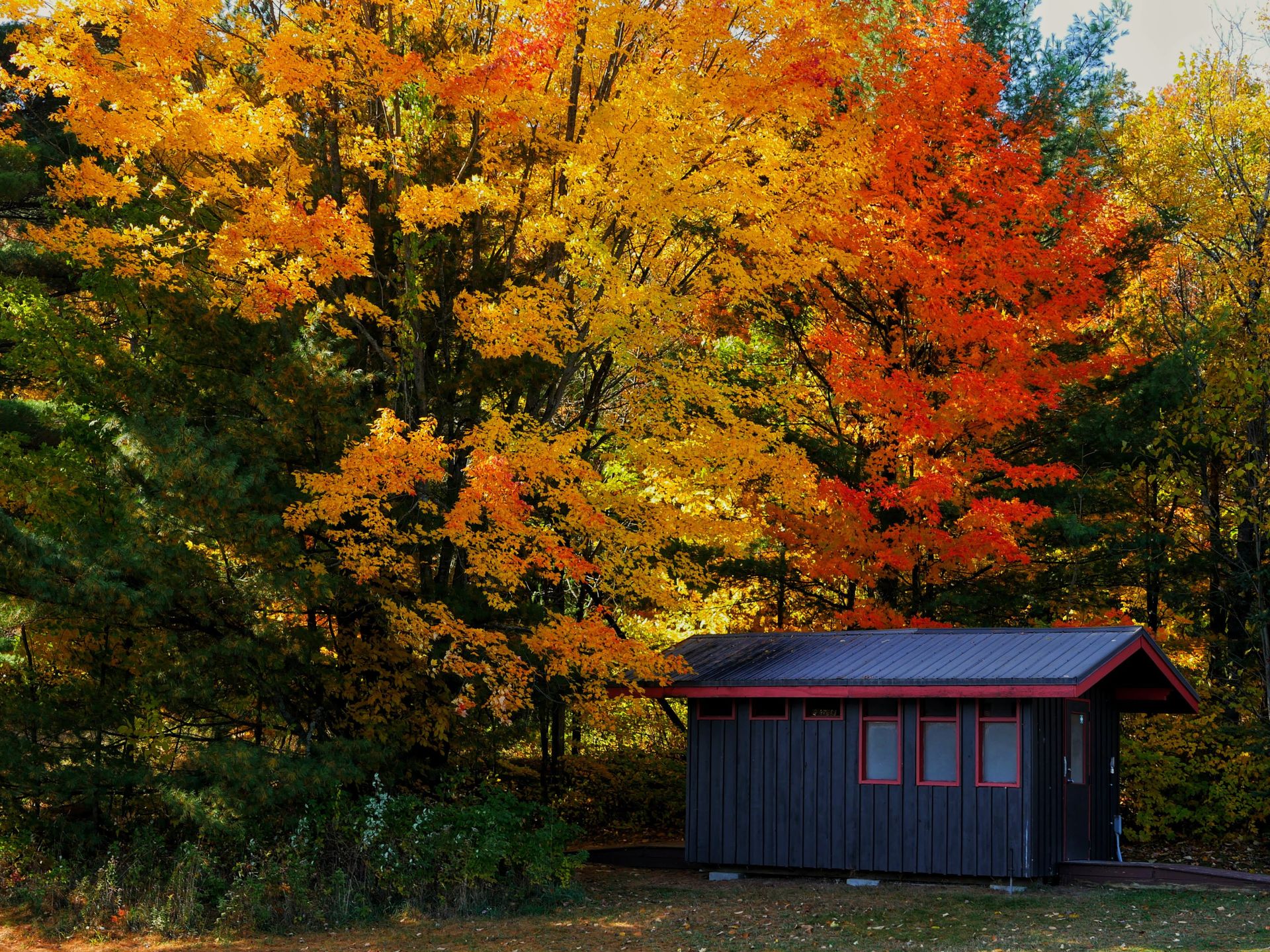 Couleurs d'automne au Québec