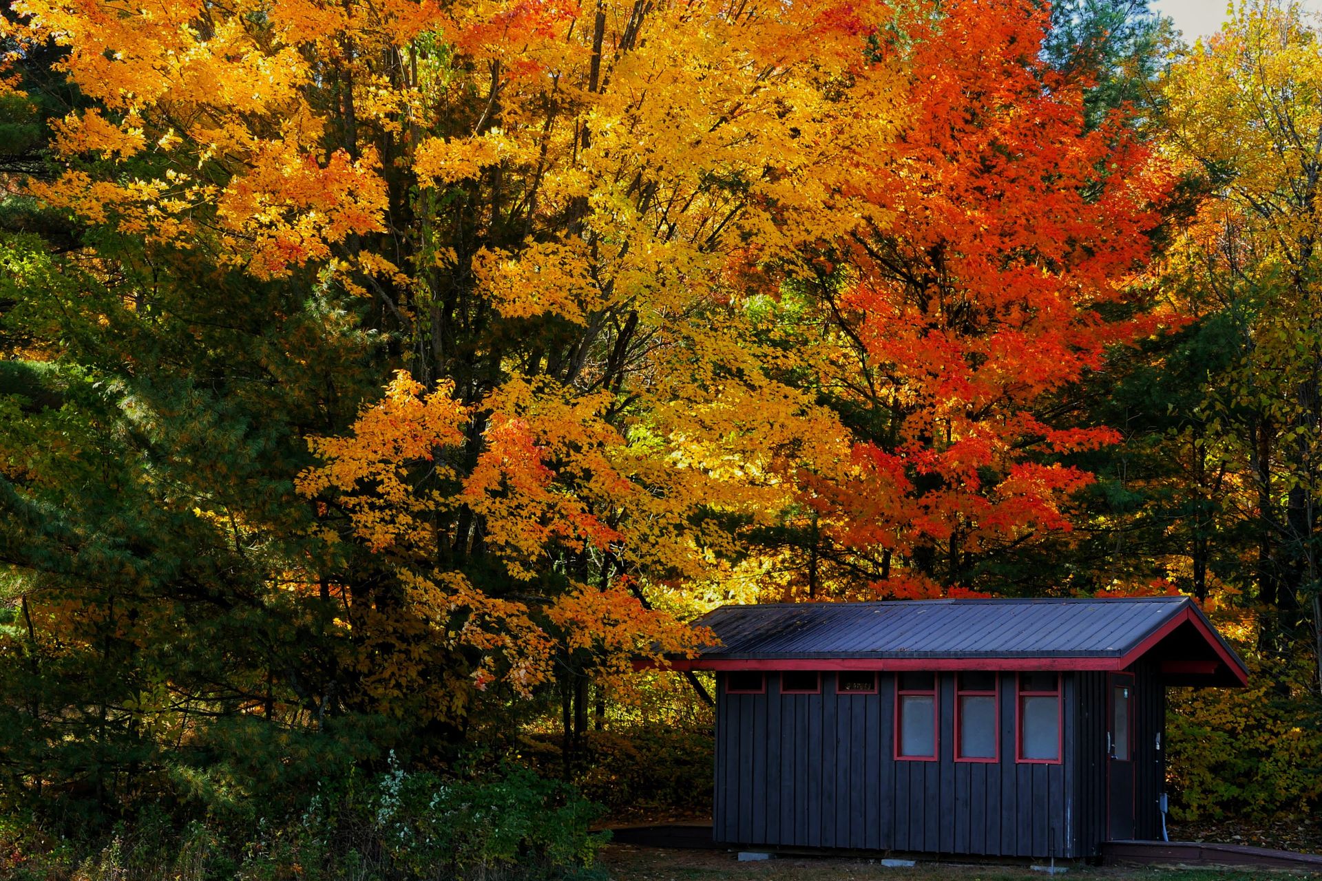 Couleurs d'automne au Québec