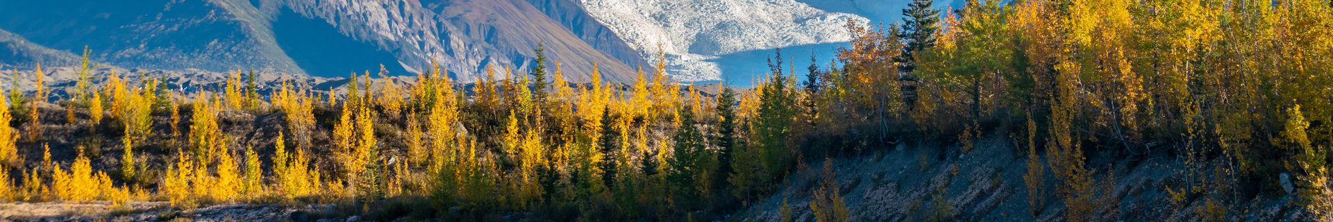 Paysages grandioses d'Alaska