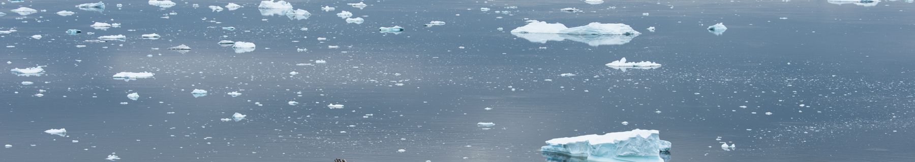 Votre navire, le Lyrial