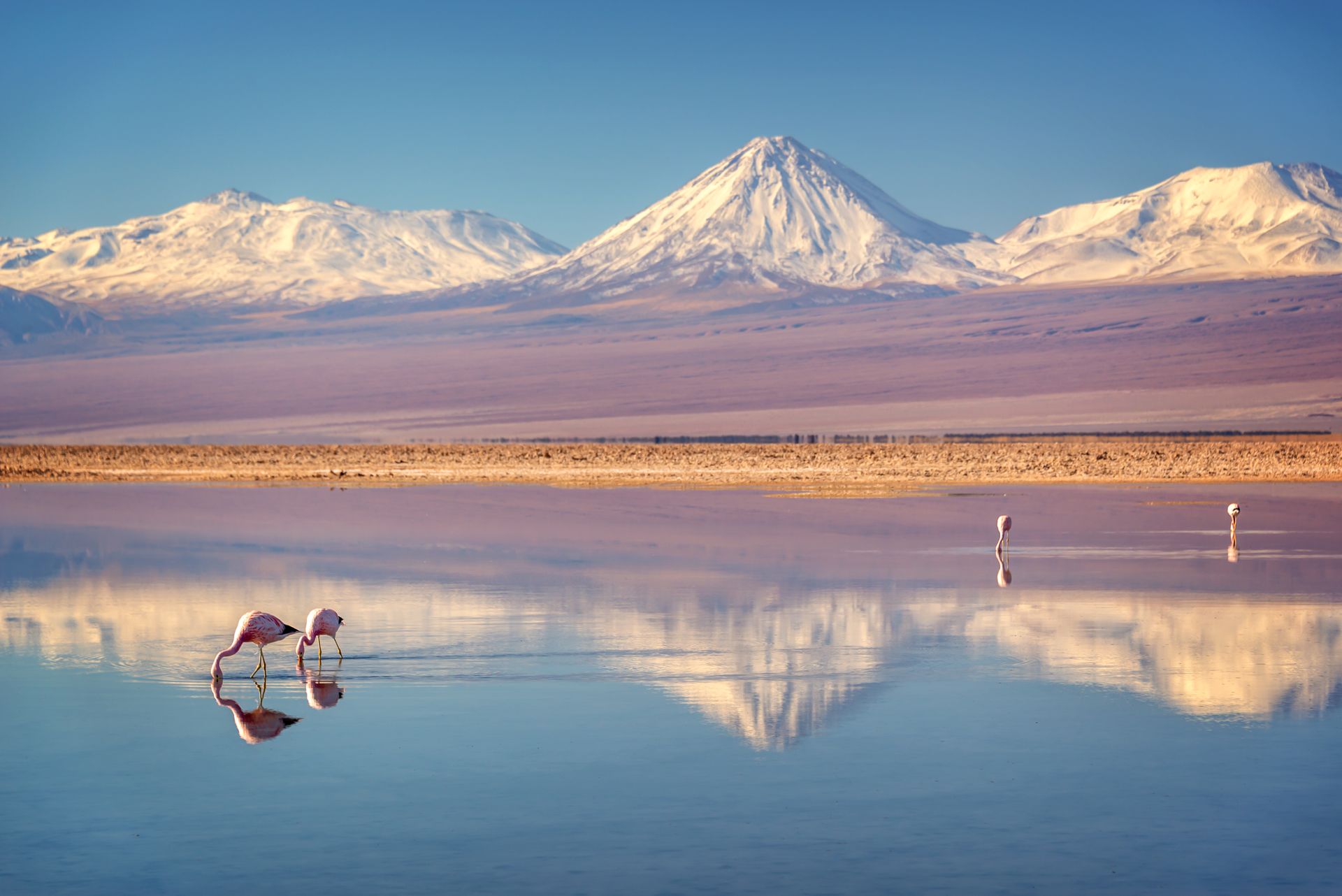 Salar d'Atacama