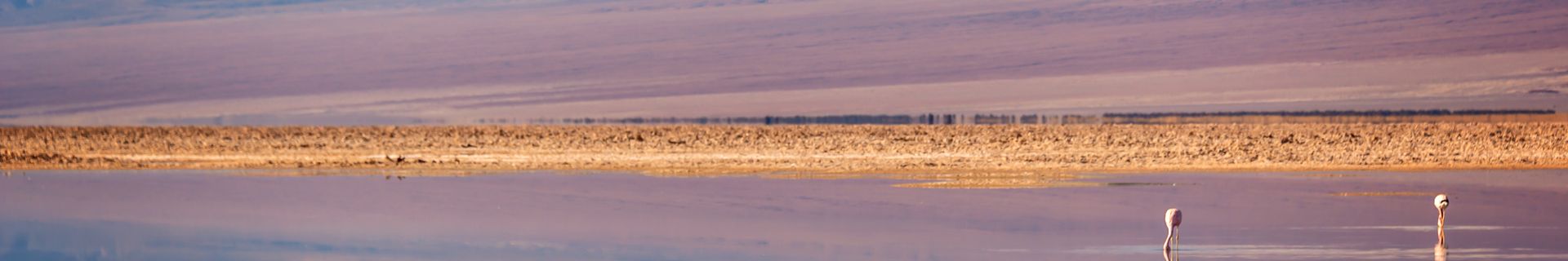 Salar d'Atacama