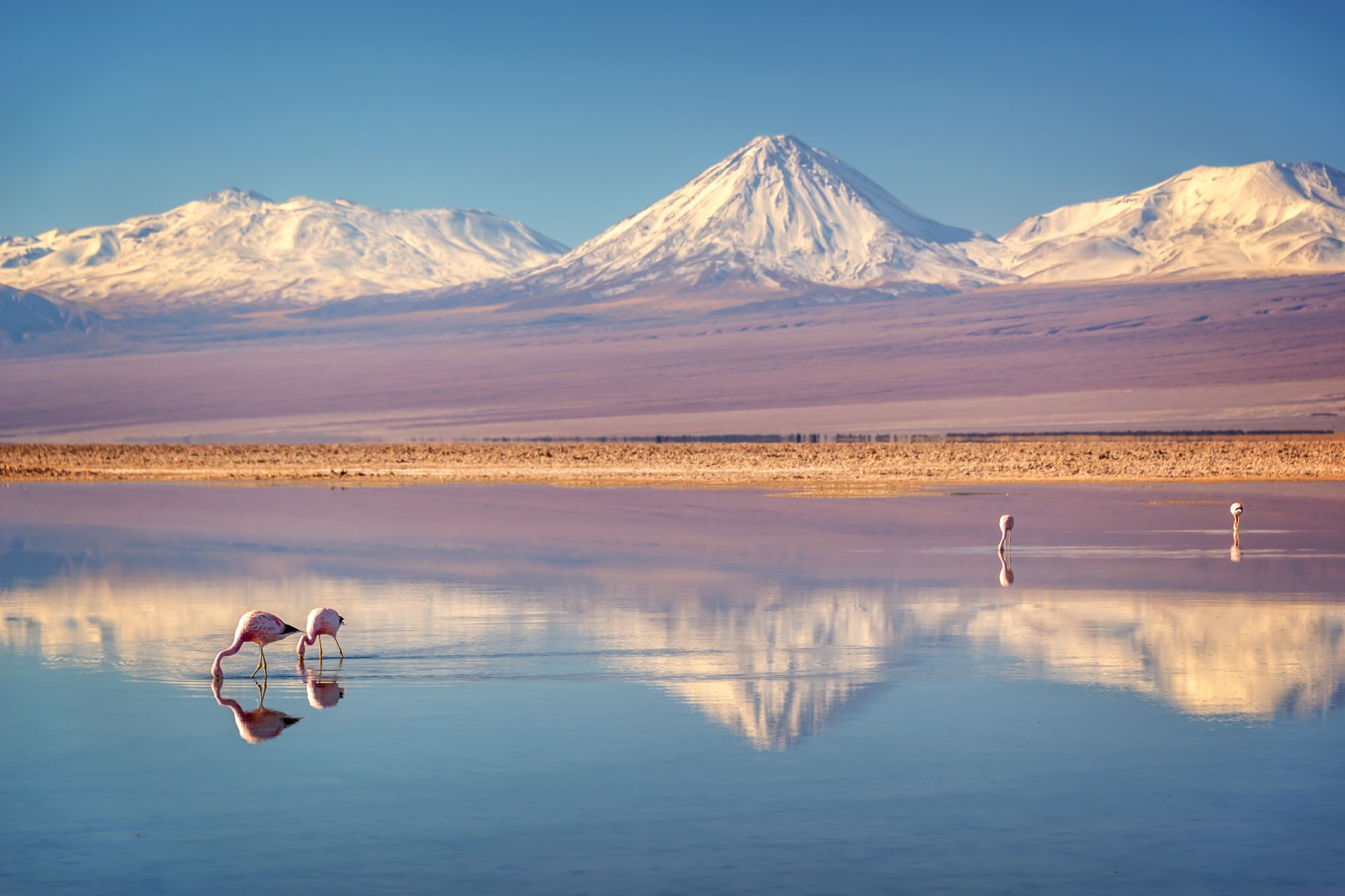 Salar d'Atacama
