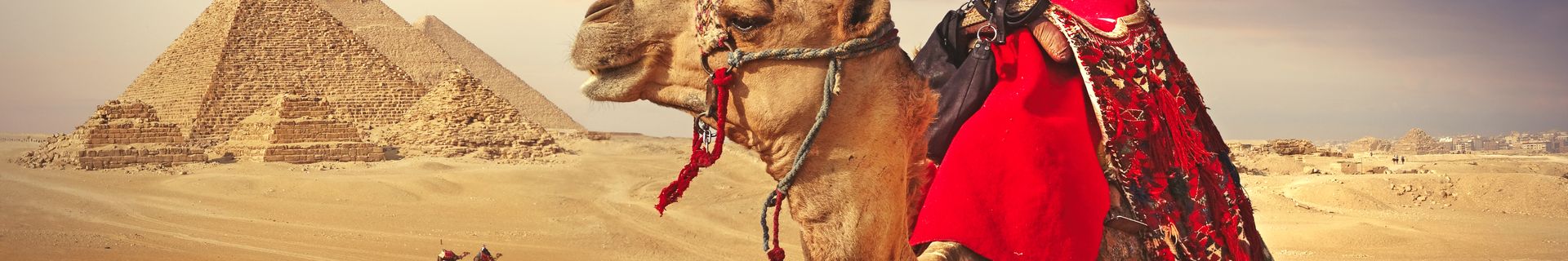 Chameau Pyramides