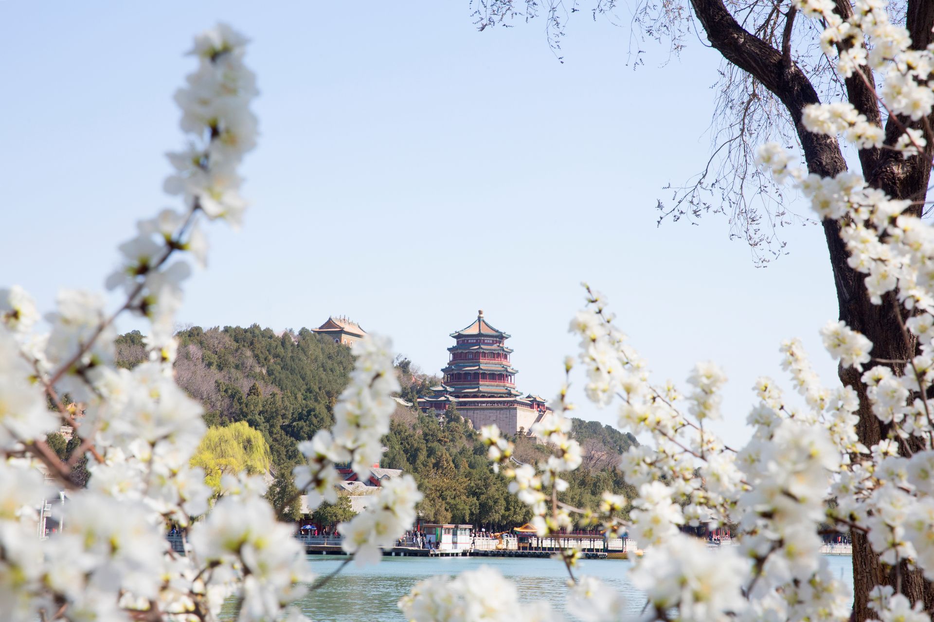 Palais d'été au printemps