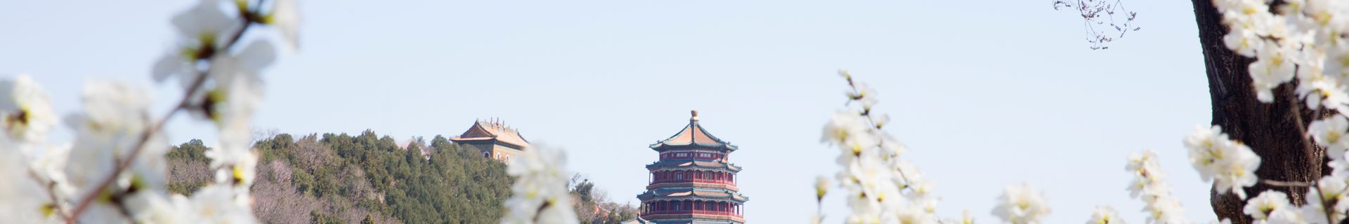 Palais d'été au printemps