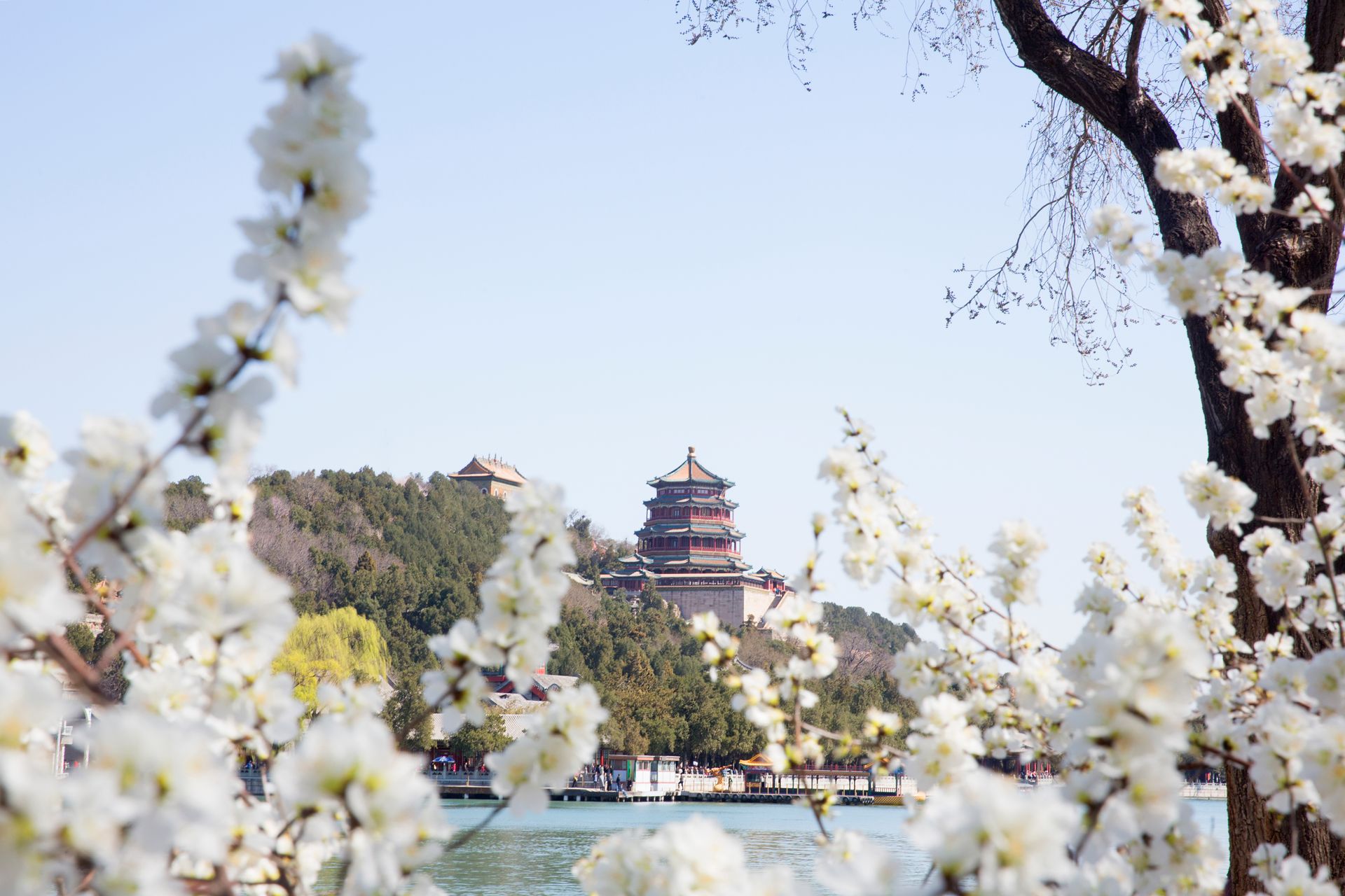 Palais d'été au printemps