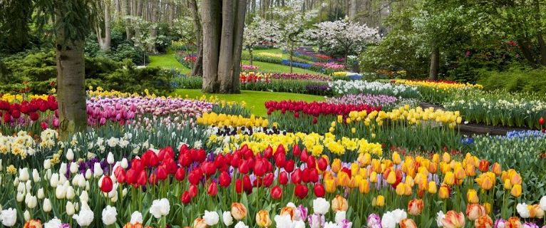 Parc floral de Keukenhof