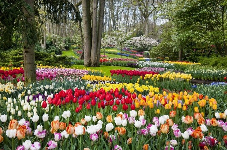 Parc floral de Keukenhof