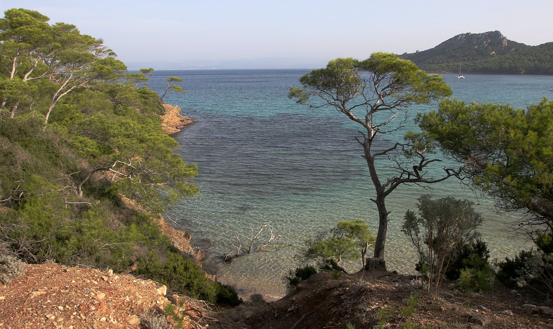 Porquerolles plage Notre-Dame (crédit Flickr Claude Valette)