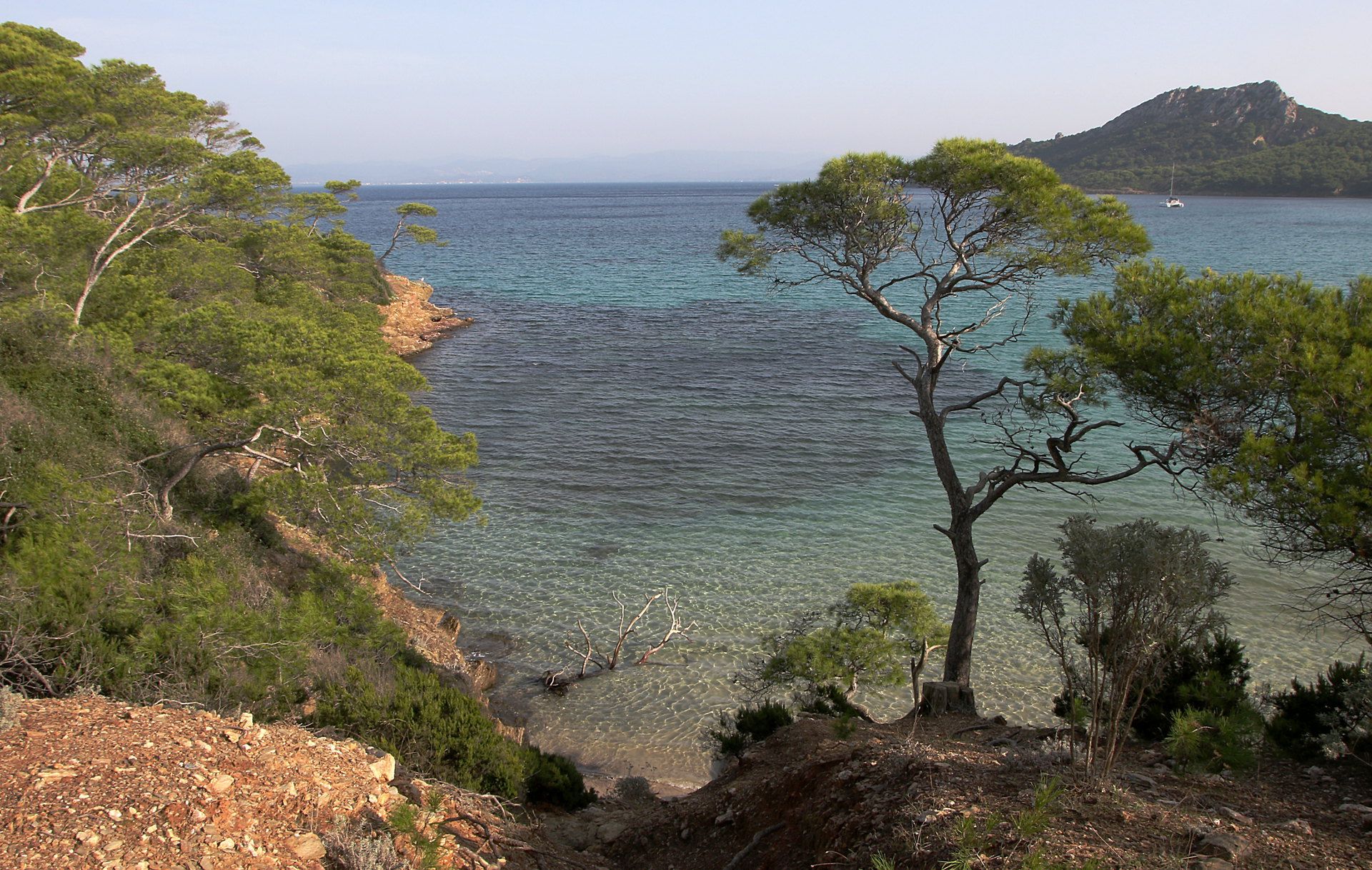 Porquerolles plage Notre-Dame (crédit Flickr Claude Valette)