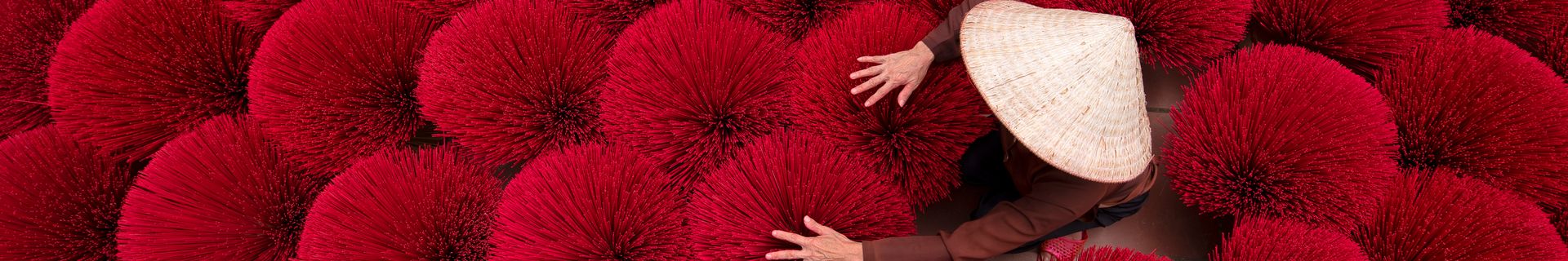 Femme qui ramasse de l'encens au Vietnam