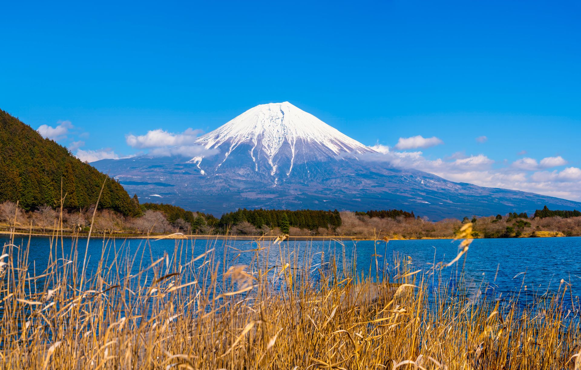 Mont Fuji, Japon