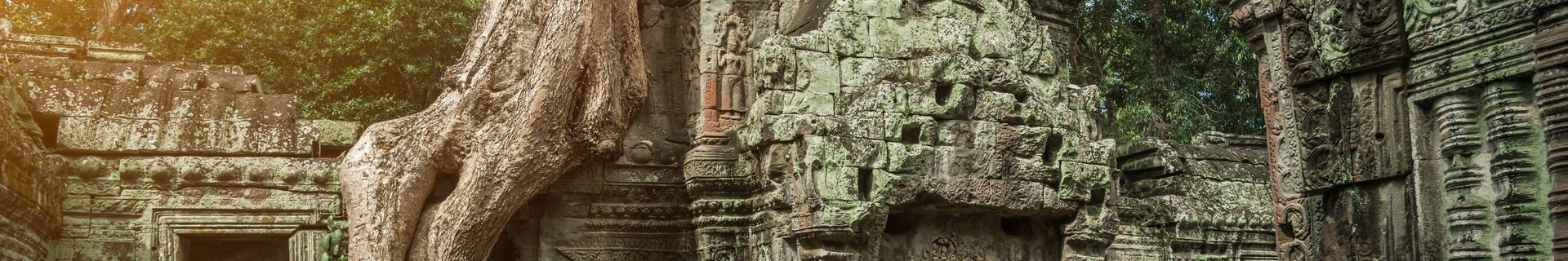 Temple de Ta Prohm