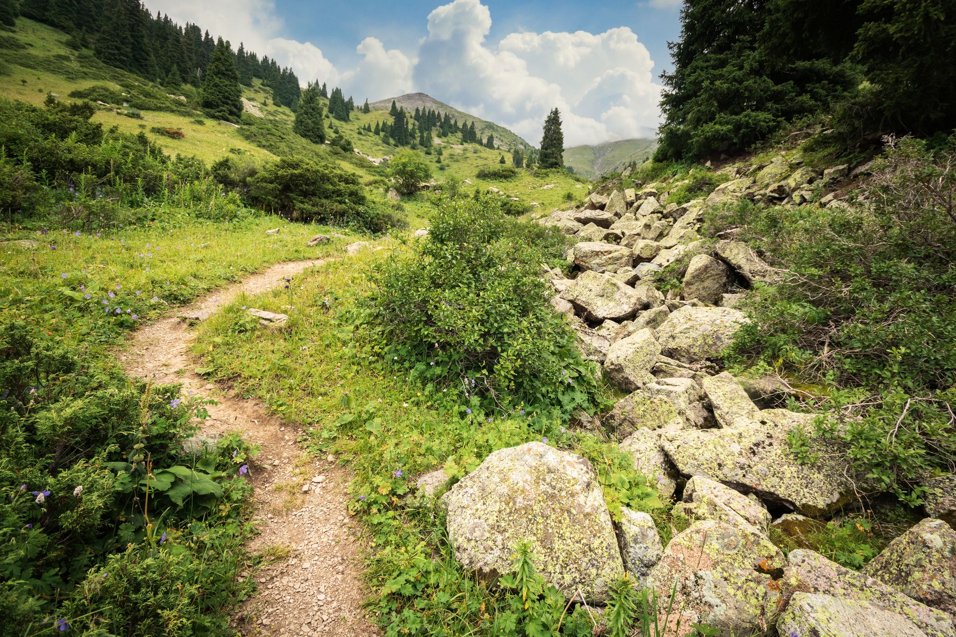 Sentier vers le pic de Furmanov, dans le sud du Kazakhstan