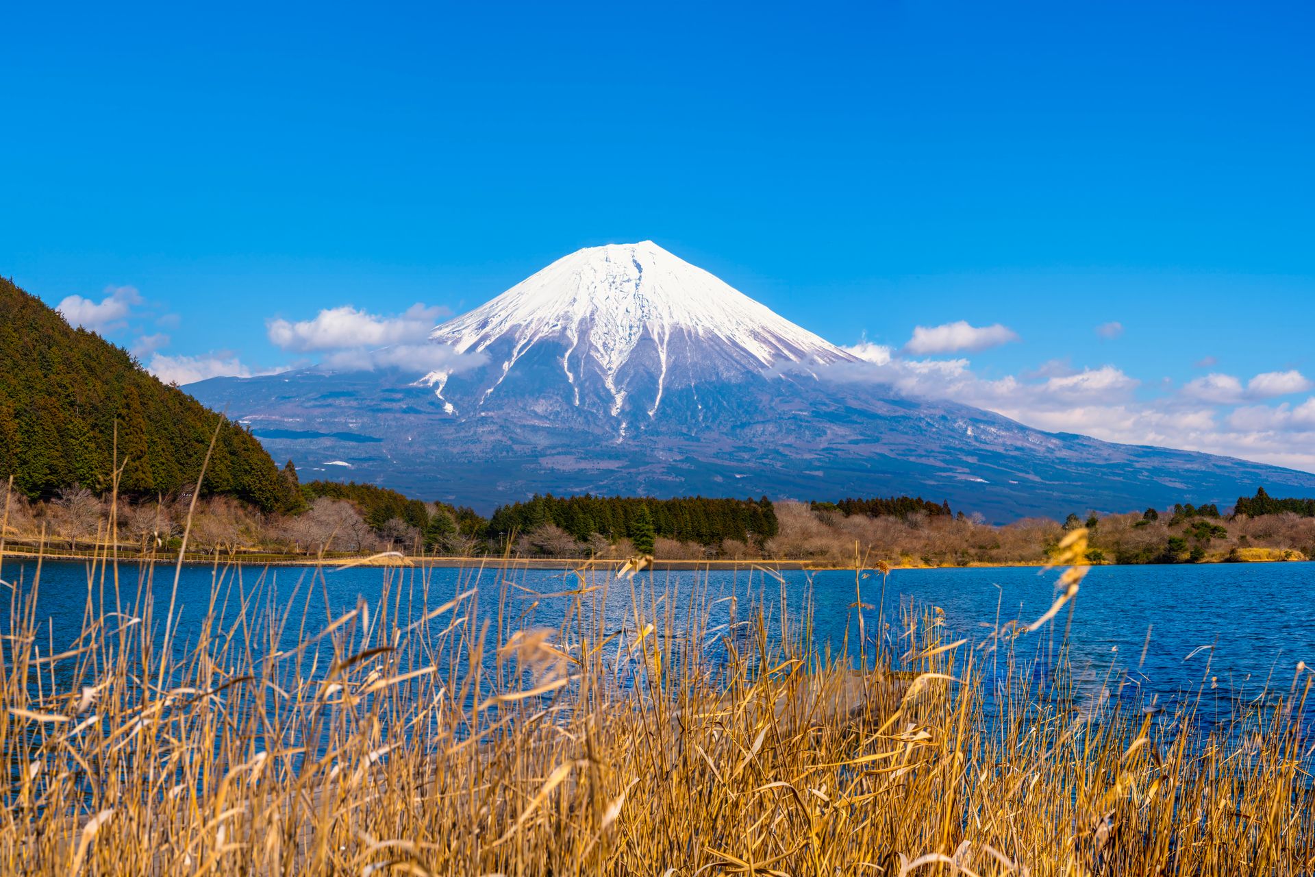 Mont Fuji, Japon