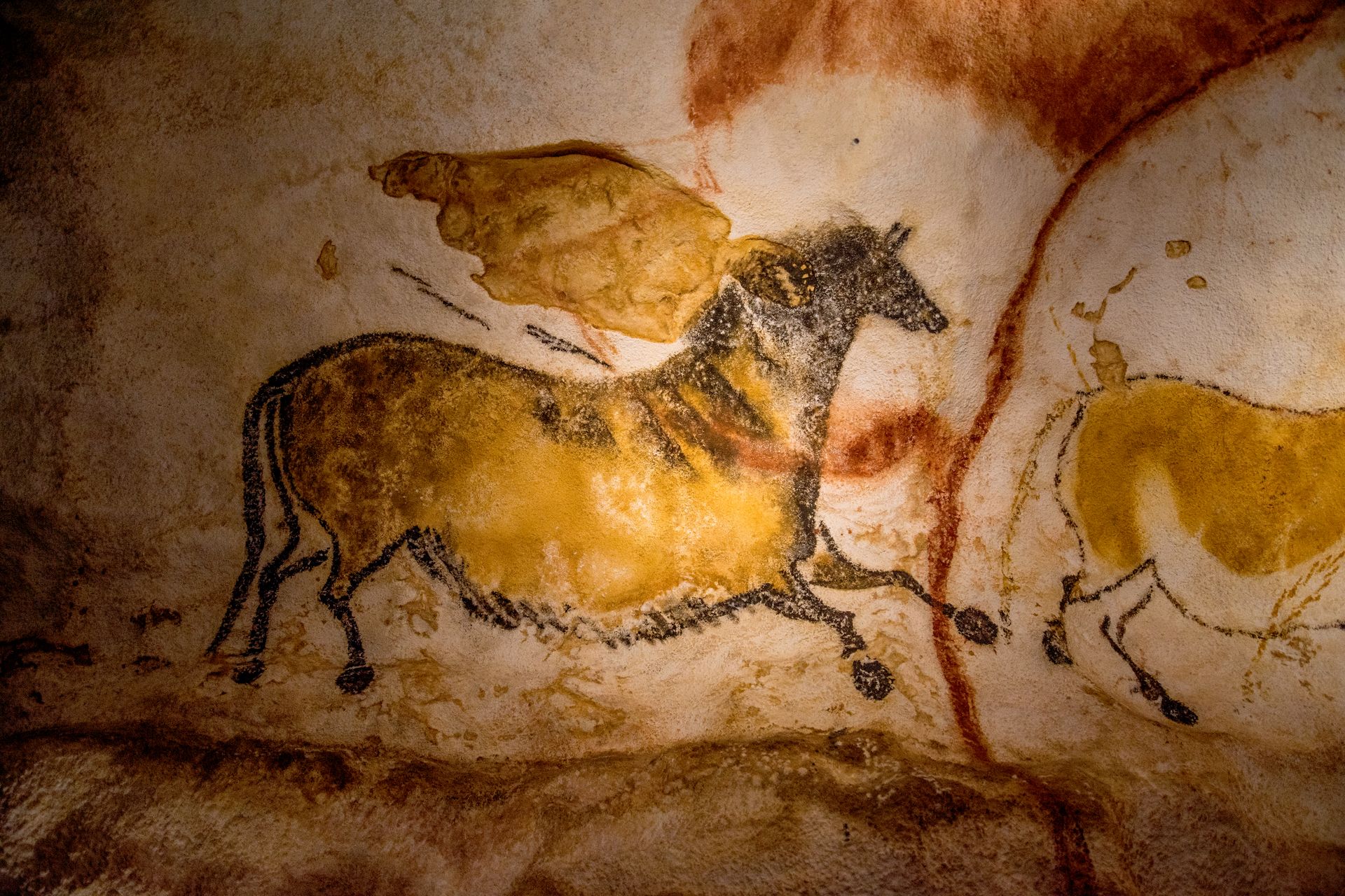 Lascaux II - © Dan Courtice
