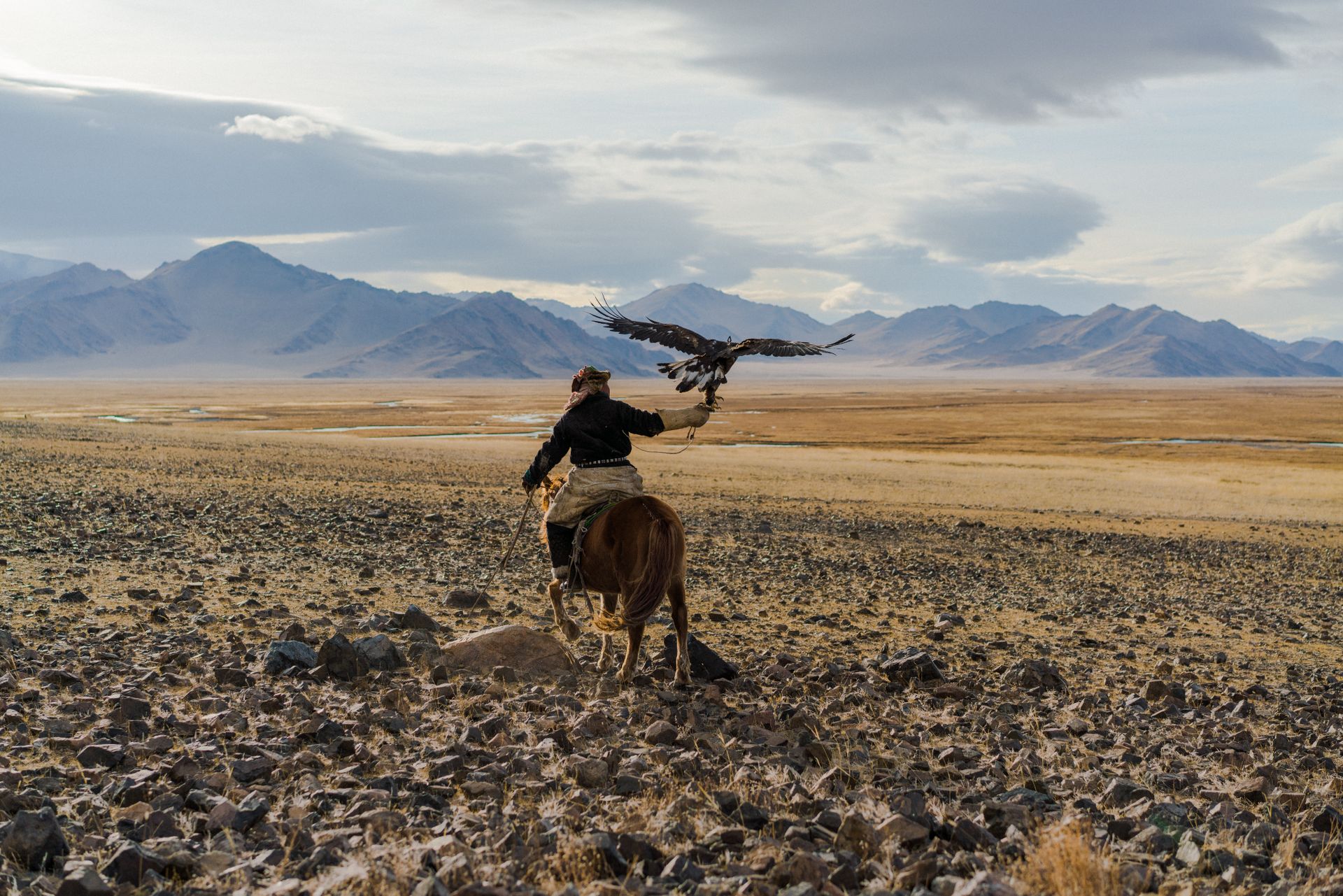 Cavalier mongol dans les steppes