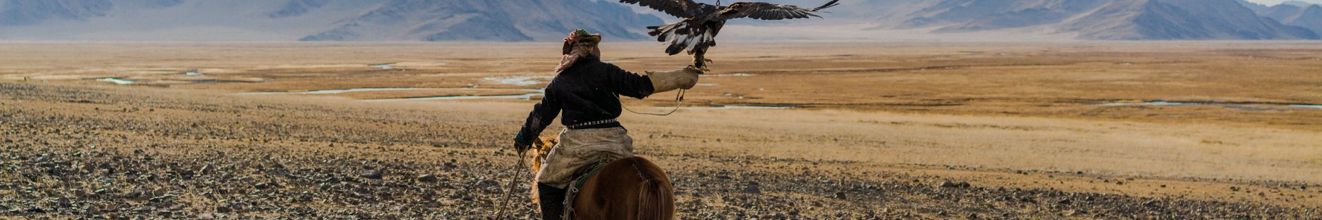 Cavalier mongol dans les steppes