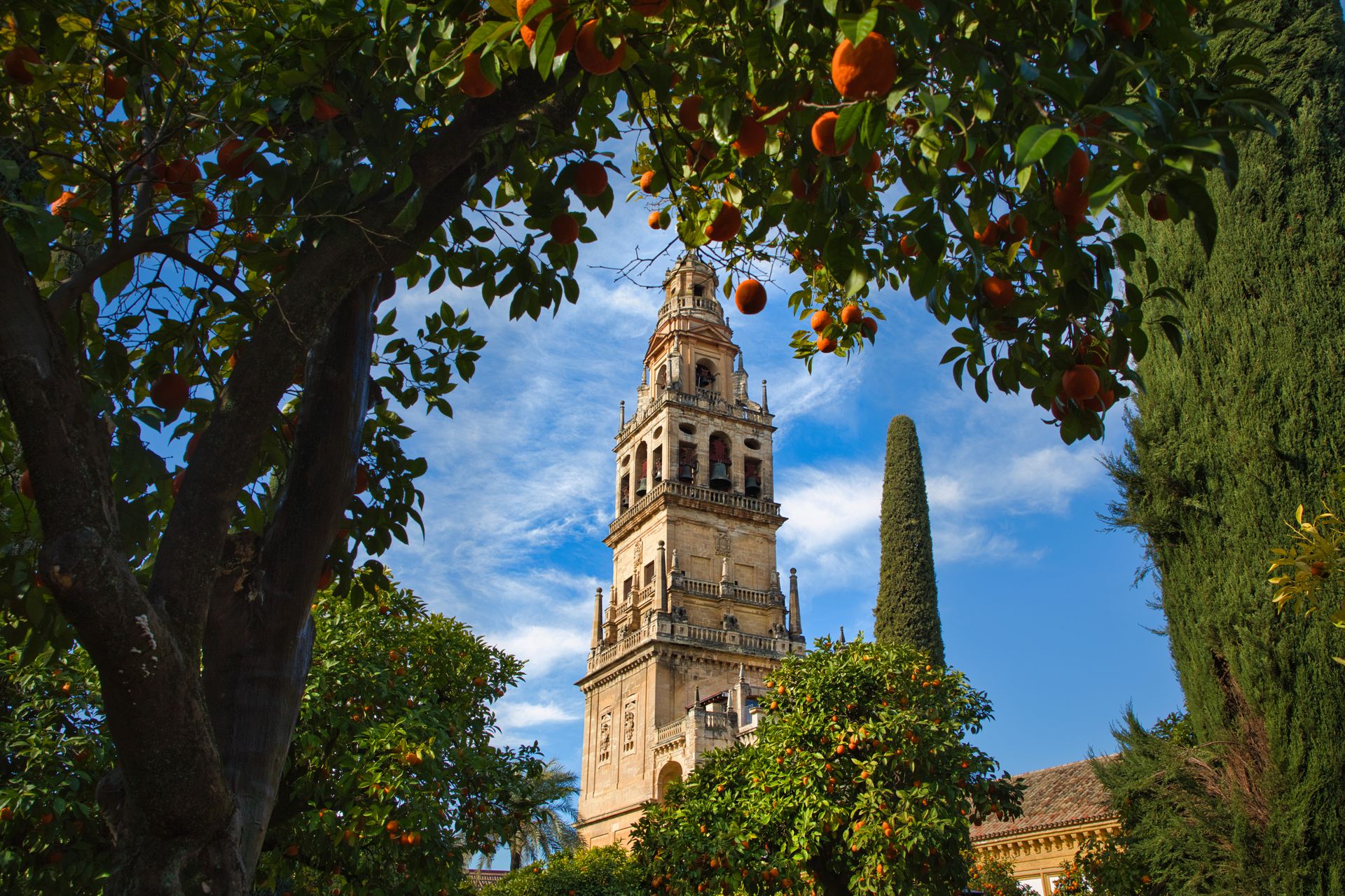 Tour de la Mezquita-Cathédrale - Cordoue